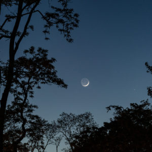 Crescent Moon, Earthshine, Mercury