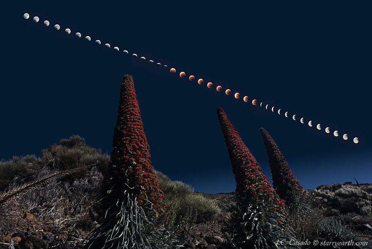 Tenerife Eclipse