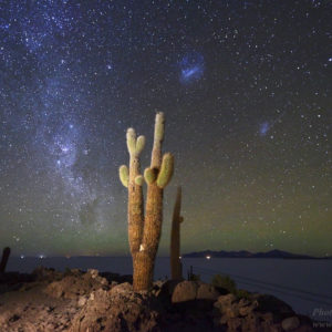 Milky Way and Magellanic Clouds Above Giant Forked Cactus