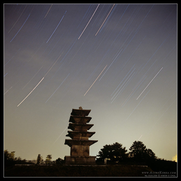 Pagoda Night