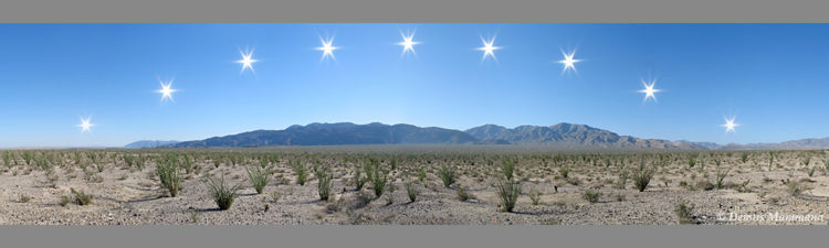 Desert Solstice
