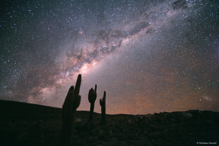 Cactus Milky Way