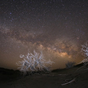 Desert Milky Way