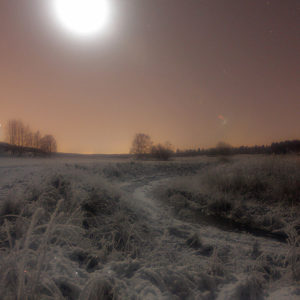 Frozen Moonlight