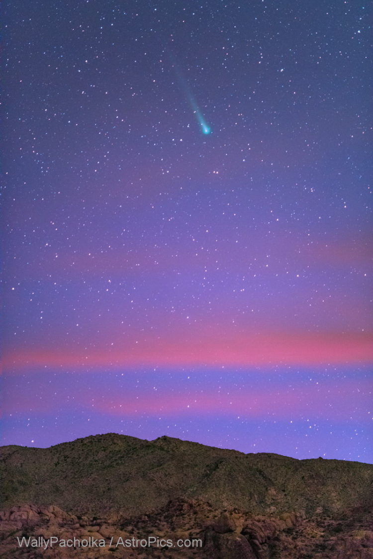 Comet Leonard at Dawn
