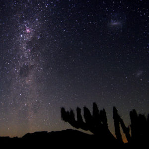 Magellanic Clouds from Atacama