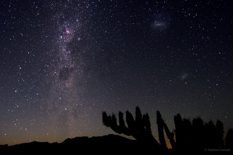 Magellanic Clouds from Atacama