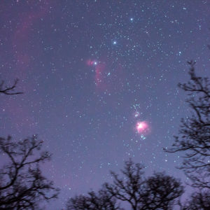 Nebulae and Orion Belt