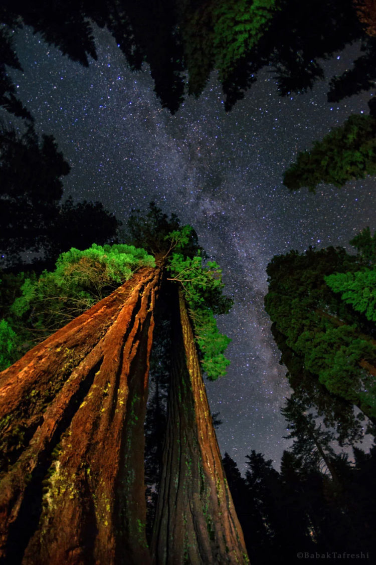 Under Yosemite Sky