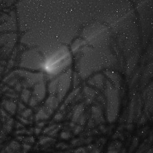 Comet and Branches