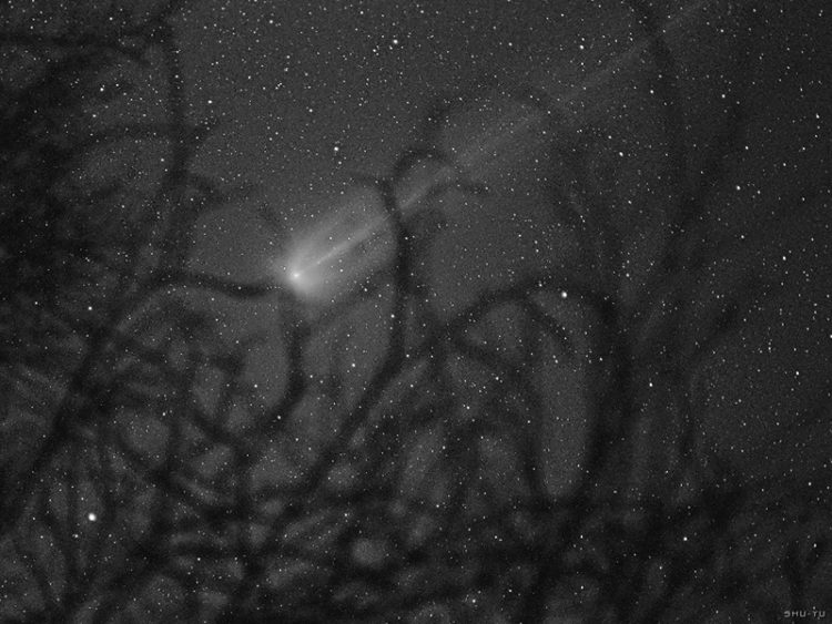 Comet and Branches