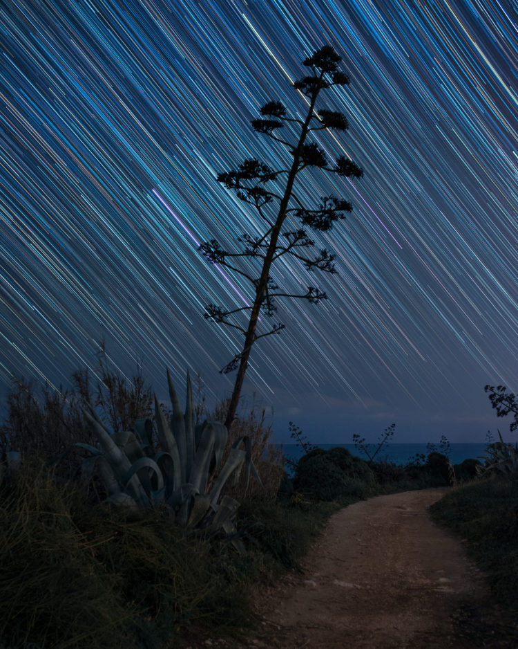 Rain of Stars Over the Mediterranean Sea