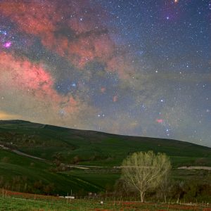 Galactic Center Above the Tulips Field
