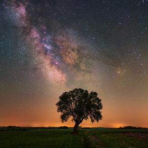 Provence Starry Night