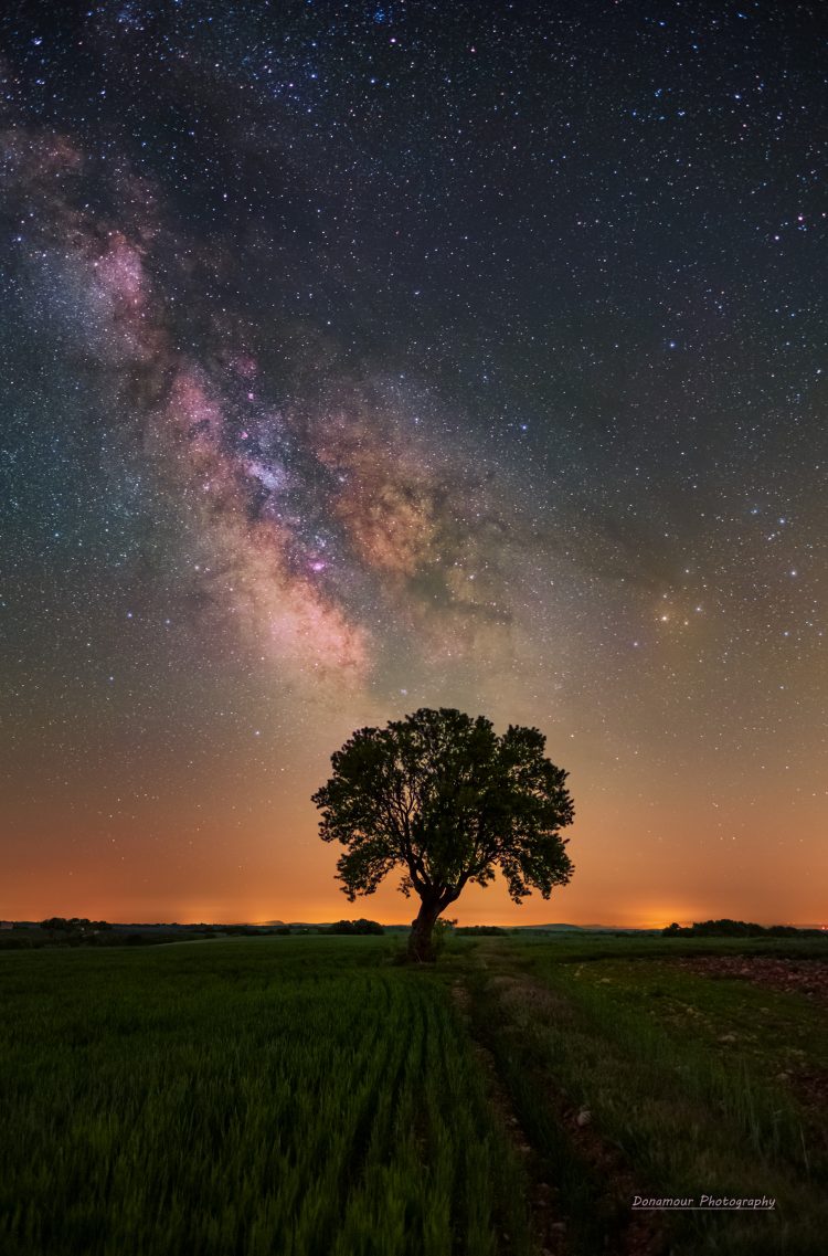 Provence Starry Night