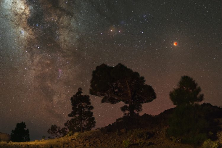 Lunar Eclipse at Refugio Punta de los Roques