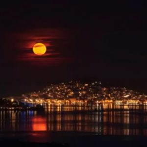 May's Flower Full Moon Timelapse ᐉ