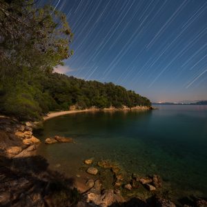 Star Trails in Moonlight