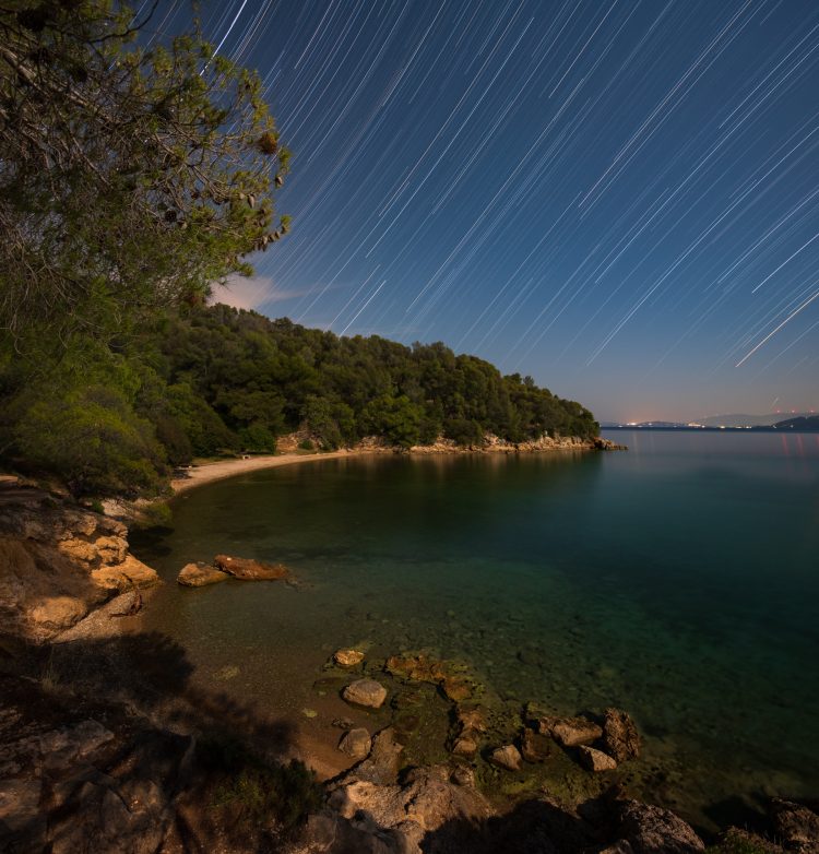 Star Trails in Moonlight