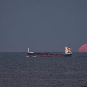 The Full Moon Rising