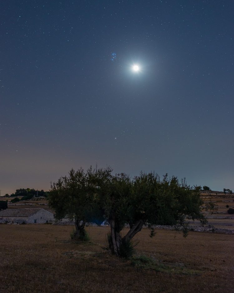 The Moon-Pleiades Conjunction