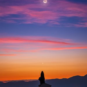 Moon and Venus Aligned to a Tree