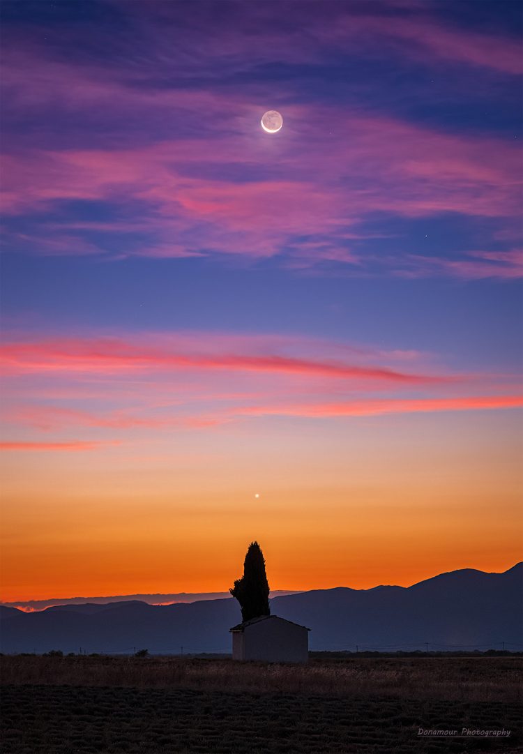 Moon and Venus Aligned to a Tree