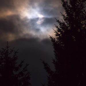 Partial Solar Eclipse With Natural Filter