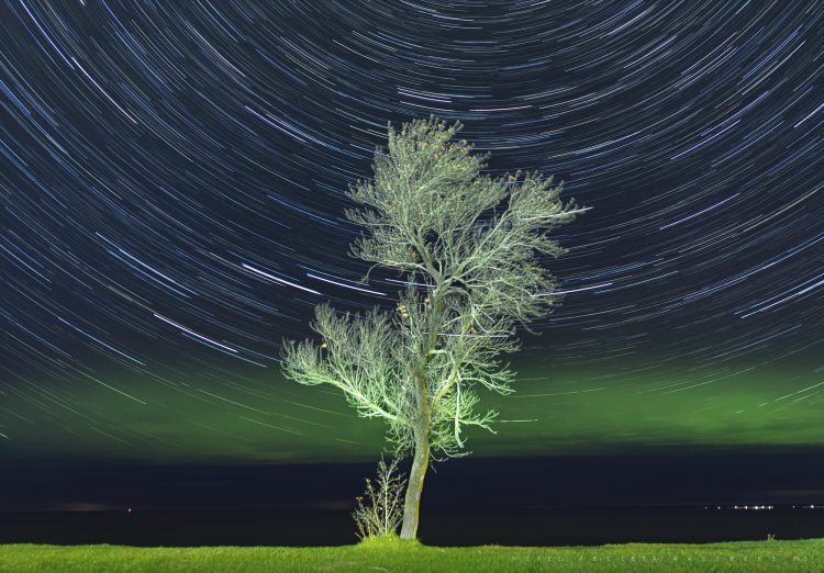 Red Lake Nation Aurora and Star Trails