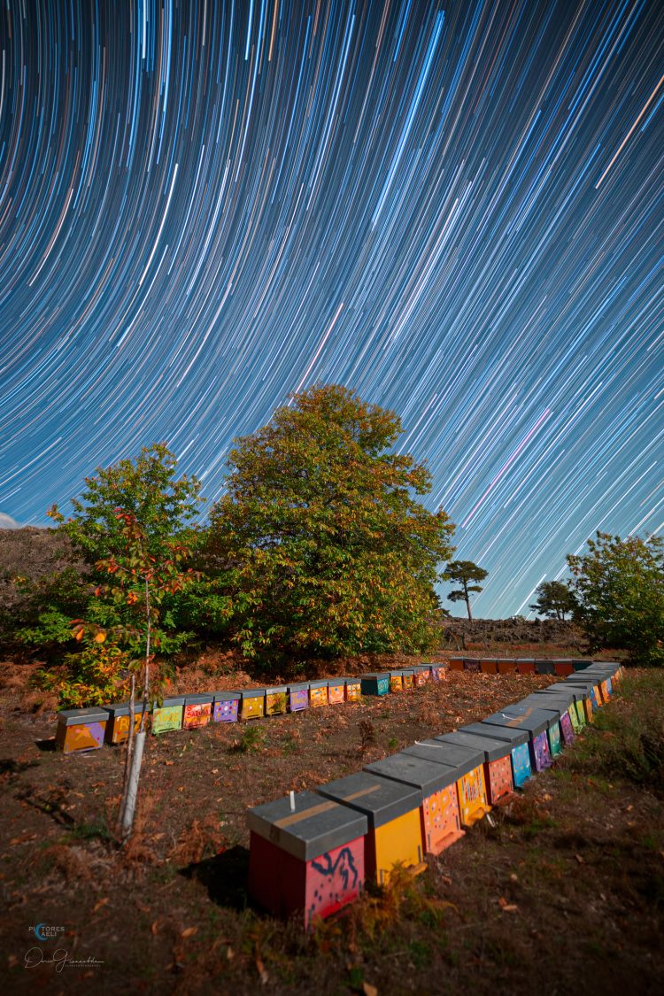 Star Trail Above the Beehives