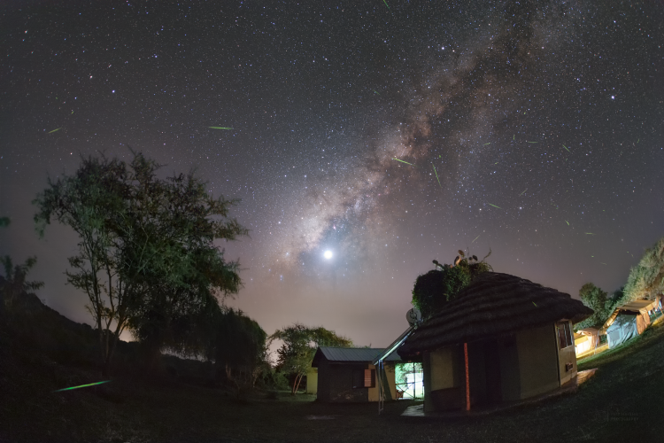 Fireflies in Uganda