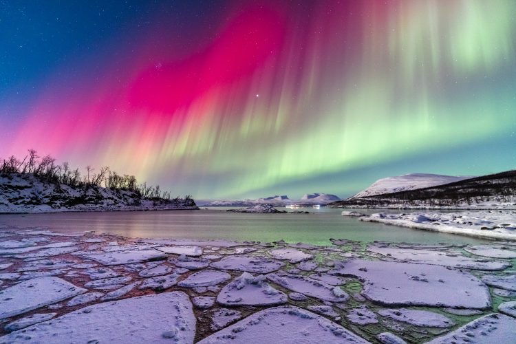 Red Aurora Over Abisko