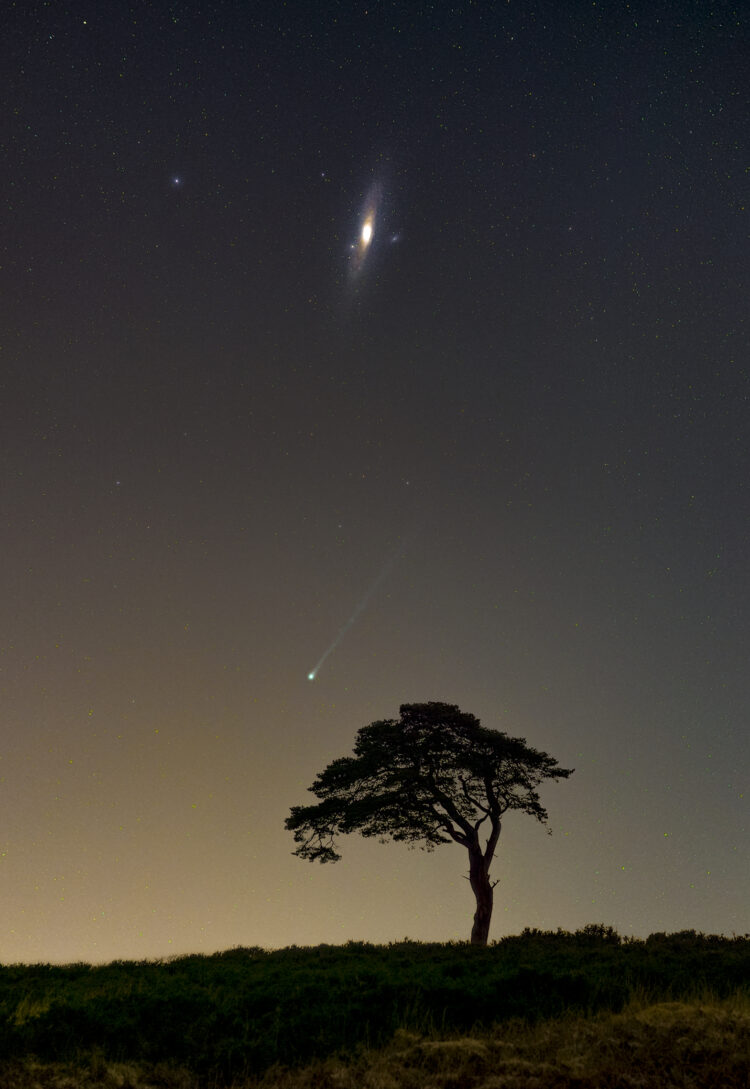 Celestial Visitors