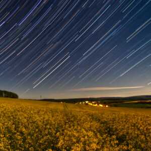 Blue Moonlit Night Over Yellow Rapeseed