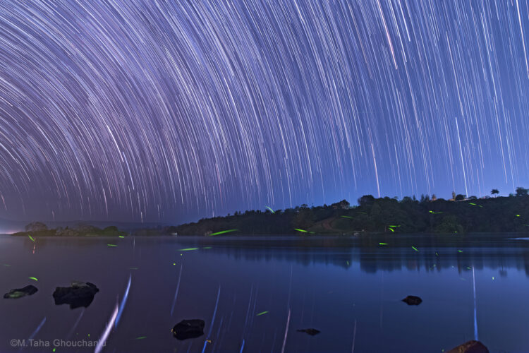 Startrails Over Jinja