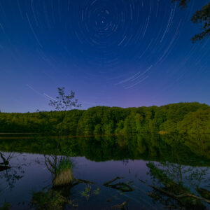 Small Lake in the Moonlight