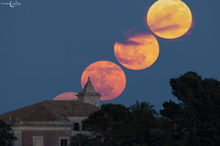 May Flower Moon Rising