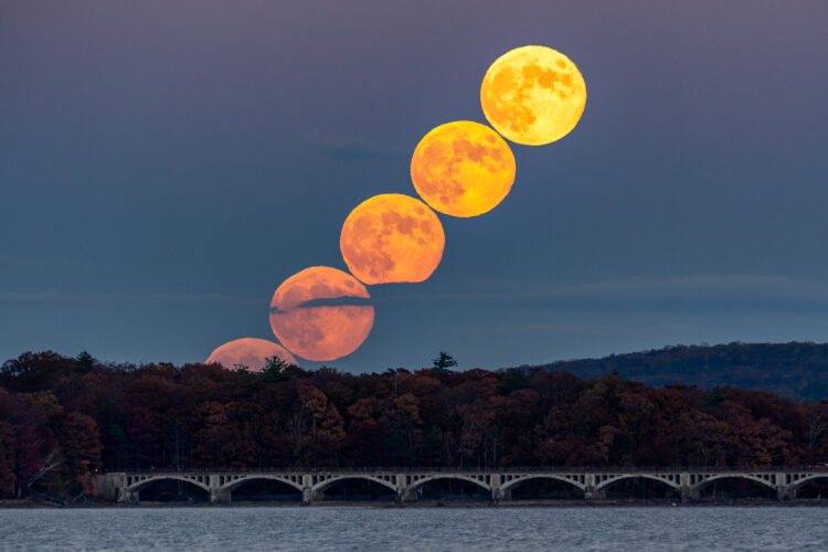 Hunters Moonrise Sequence