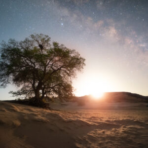 The Moon Rises in Starry Sky