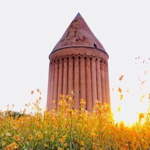 Startrail Aove an Astronomical Tower