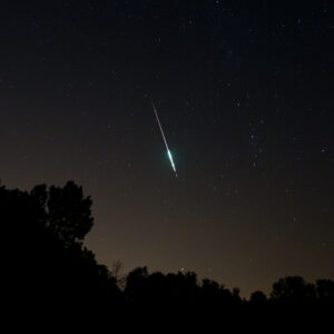 Perseids and Startrails