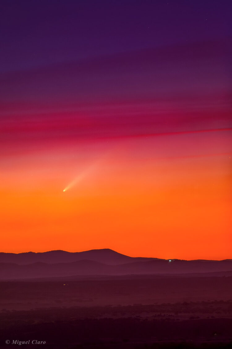 Comet from Portugal