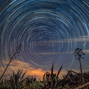 Mediterranean Star Trails