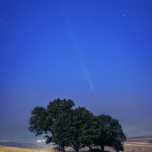 Comet Tsuchinshan–ATLAS Over Oak Trees