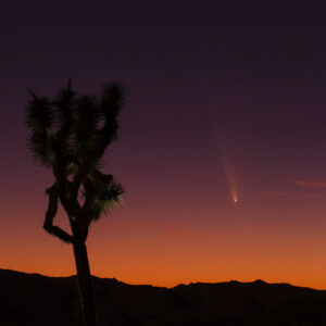 Comet Atlas from Joshua Tree