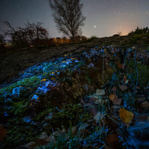 Fluorescence and Night Sky