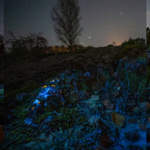 Fluorescence and Night Sky