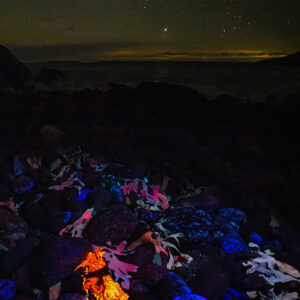 Colorful Night by the Ocean