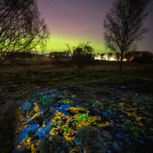 Green Fluorescence and Aurora