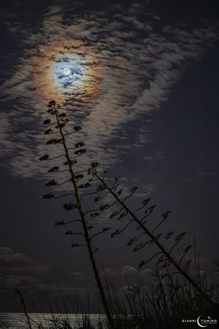 Lunar Corona and Venus